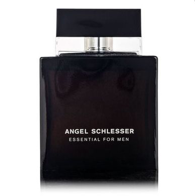 Парфуми (аромат схожий на Angel Schlesser Essential for Men) Чоловічі 100 ml 244506