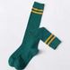 Шкарпетки MavkaSocks довгі смуги 1 пара (5146-5)Колір: зелені жовта смуга;