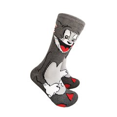Шкарпетки MavkaSocks Том 1 пара (5233)
