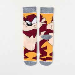 Шкарпетки MavkaSocks яскраві та стильні Тасманський диявол 1 пара (5057)