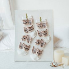 Шкарпетки MavkaSocks прозорі с котиками білі 1 пара (5193-2)