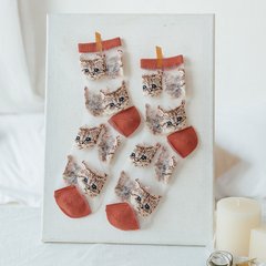 Шкарпетки MavkaSocks прозорі с котиками помаранчеві 1 пара (5193-1)